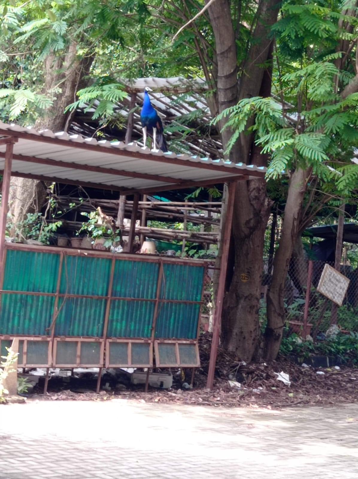 SPIT General photo 4